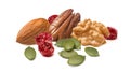 Walnut, pecan, almond nuts, green pumpkin seeds and dried cranberries isolated on white background Royalty Free Stock Photo