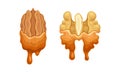 Walnut and Pecan with Dripping Chocolate or Caramel Melting Liquid Vector Set
