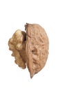 Walnut profil half open nutshell