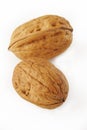 Walnut