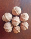 Walnut seeds unveiled exploring the fascinating world of walnut agriculture