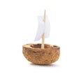 Walnut Shell Boat Royalty Free Stock Photo