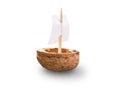 Walnut Shell Boat Royalty Free Stock Photo