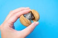 Walnut shell with a miniature human brain in a hand
