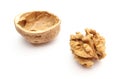 Walnut without shell and nutshell on white background