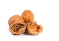Walnut shells against a white background Royalty Free Stock Photo