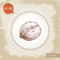 Walnut sketch hand drawn. Eco and super food on vintage background.