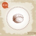 Walnut sketch hand drawn. Eco and super food on vintage background.