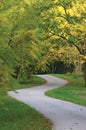 Walnut Trees In Autumnal Park, Large Detailed Vertical Landscaped Autumn Path Scene, Twisting Tarmac Walkway, Winding Asphalt Road Royalty Free Stock Photo