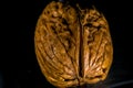 Walnut up close Royalty Free Stock Photo