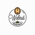 Walnut vector logo. Round linear of walnut