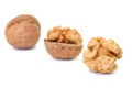 Walnut and walnut kernel isolated on the white background. Royalty Free Stock Photo
