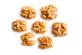 Walnut. Walnut kernel. Nut isolated on white. With clipping path Royalty Free Stock Photo