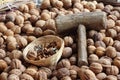 Walnut Royalty Free Stock Photo