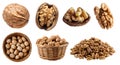 Walnut walnuts nut seed fruit, many angles view heap stack, basket, husk shell, broken pieces isolated on transparent PNG