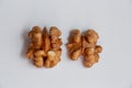 Walnut on a white background, walnut halves, close-up Royalty Free Stock Photo