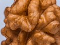 Walnut On A White Background. Nut kernel nut on a white background. Lots of details, Makro Royalty Free Stock Photo