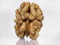 Walnut On A White Background. Nut kernel nut on a white background. Lots of details, Makro Royalty Free Stock Photo
