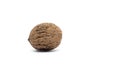 Walnut with shell on a white background Royalty Free Stock Photo