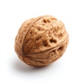 A walnut on a white background Royalty Free Stock Photo