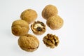 Walnut Whole and Crack and Shell on white background kalyan