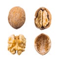 Walnut whole, opened, half, kernel and shell on a white background. The view from the top. Royalty Free Stock Photo