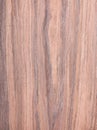 Walnut, wood grain, natural rural tree background Royalty Free Stock Photo