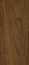 Walnut wood texture Royalty Free Stock Photo