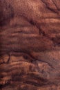 Walnut natural wood texture Royalty Free Stock Photo