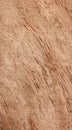 Walnut wood texture