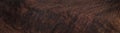 Walnut wood texture. Super long walnut planks texture background.Texture element.