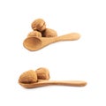 Walnut in a wooden spoon isolated