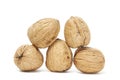 Walnuts Royalty Free Stock Photo