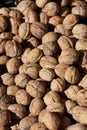 Walnuts Royalty Free Stock Photo