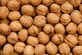 Walnuts Royalty Free Stock Photo