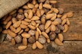 Walnuts and almonds in a burlap bag Royalty Free Stock Photo