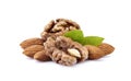 Walnuts with almonds in closeup with leaves on white background Royalty Free Stock Photo