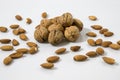 Walnuts and almonds composition in a white background Royalty Free Stock Photo