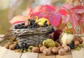 Walnuts, aronia, apples, pear, pumpkin on wooden table and in a wicker basket Royalty Free Stock Photo