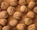 Many table walnuts The precondition of agriculture Royalty Free Stock Photo