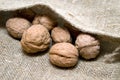 Walnuts in the bag Royalty Free Stock Photo