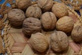 Walnuts in a basket. Harvest nuts. Golden autumn