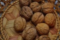 Walnuts in a basket. Harvest nuts. Golden autumn