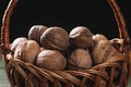 Walnuts in a basket. Walnut harvest Royalty Free Stock Photo