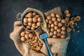 Walnuts. Beautiful composition with wallnuts on the sackcloth. Royalty Free Stock Photo