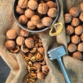 Walnuts. Beautiful composition with wallnuts on the sackcloth. Royalty Free Stock Photo