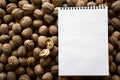 Walnuts and blank notepad on black background, top view. Overhead, from above Royalty Free Stock Photo