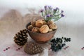 Walnuts bowl, cones and flowers Royalty Free Stock Photo