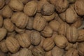 Walnuts in bulk. A background from nuts.