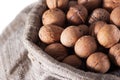 Walnuts in burlap bag Royalty Free Stock Photo